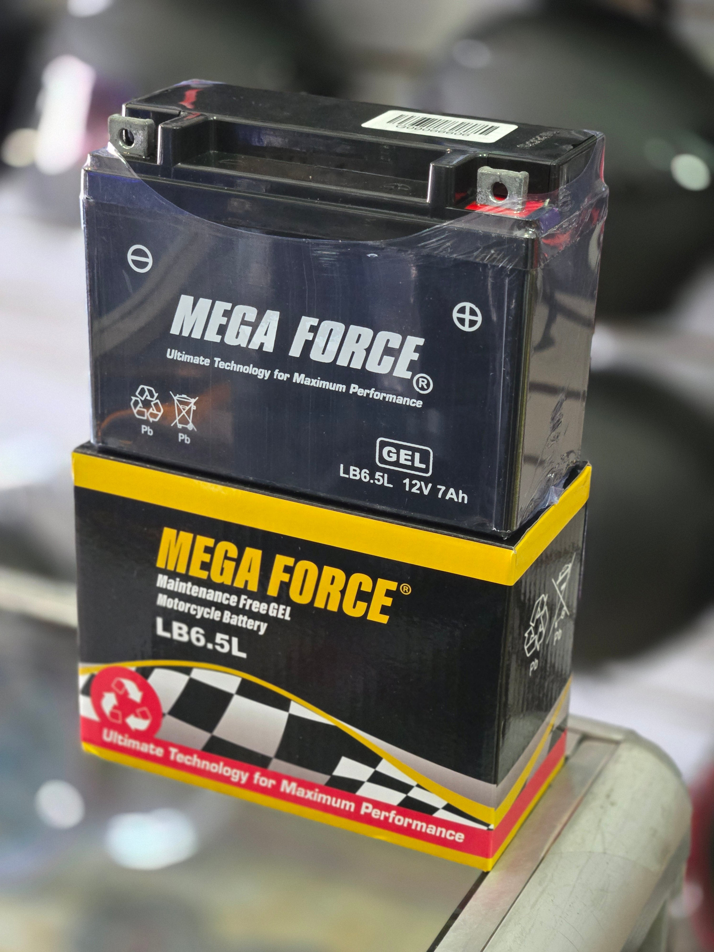 BATERIA LB6.5L-B